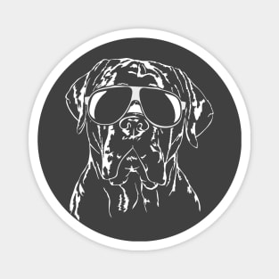 Cool Cane Corso Italiano with sunglasses Magnet